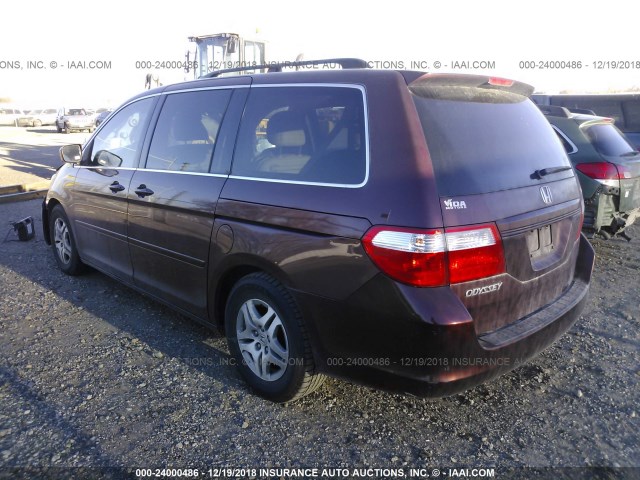 5FNRL38747B426884 - 2007 HONDA ODYSSEY EXL BURGUNDY photo 3