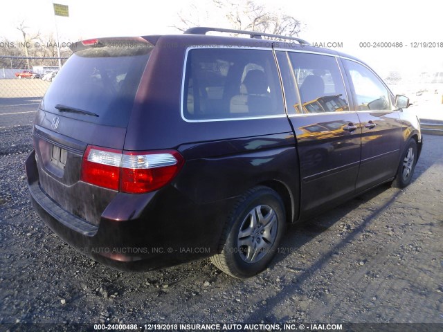 5FNRL38747B426884 - 2007 HONDA ODYSSEY EXL BURGUNDY photo 4