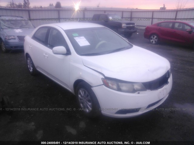 KNAFU4A25A5808626 - 2010 KIA FORTE EX WHITE photo 1