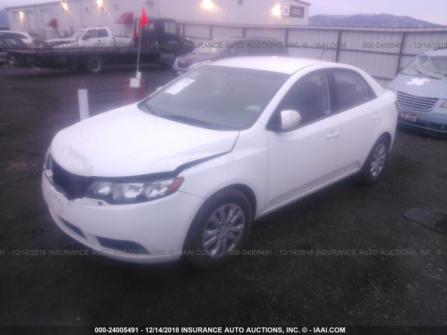 KNAFU4A25A5808626 - 2010 KIA FORTE EX WHITE photo 2