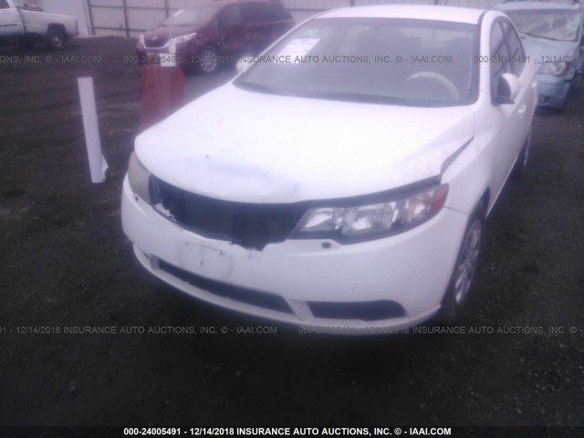 KNAFU4A25A5808626 - 2010 KIA FORTE EX WHITE photo 6