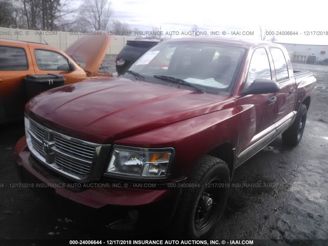 1D7HW58N98S633553 - 2008 DODGE DAKOTA QUAD LARAMIE RED photo 2