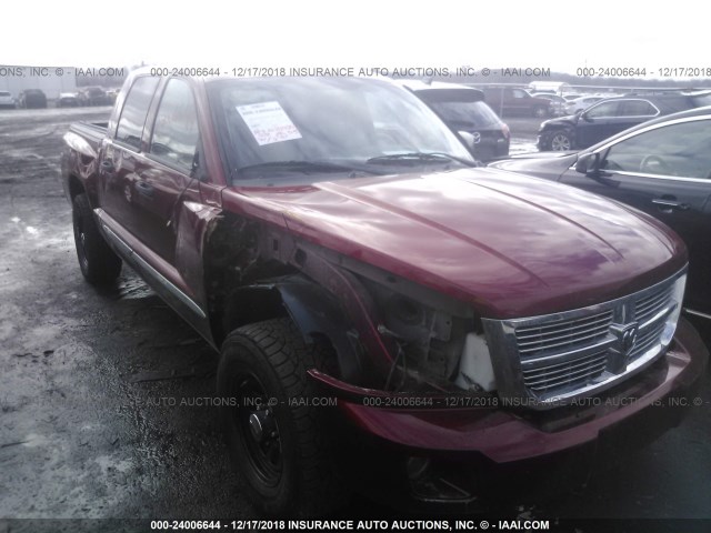 1D7HW58N98S633553 - 2008 DODGE DAKOTA QUAD LARAMIE RED photo 6