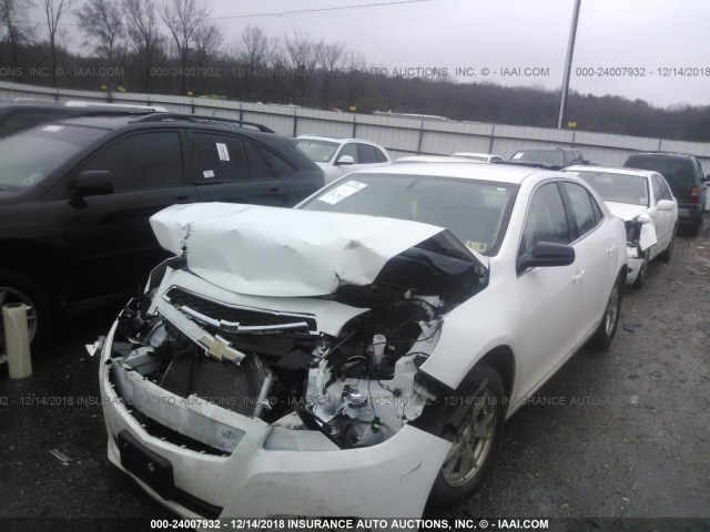 1G11A5SAXDF347044 - 2013 CHEVROLET MALIBU LS WHITE photo 2