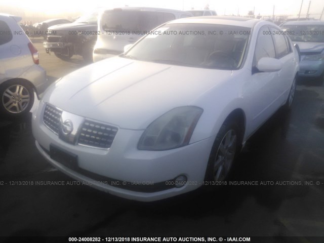 1N4BA41E66C831989 - 2006 NISSAN MAXIMA SE/SL WHITE photo 2