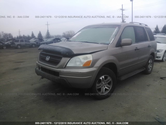 2HKYF18434H528266 - 2004 HONDA PILOT EX BEIGE photo 2