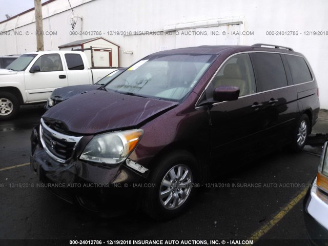 5FNRL3H62AB011688 - 2010 HONDA ODYSSEY EXL MAROON photo 2