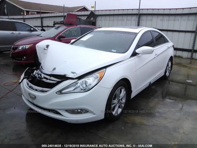 5NPEC4AC3DH631301 - 2013 HYUNDAI SONATA SE/LIMITED WHITE photo 2