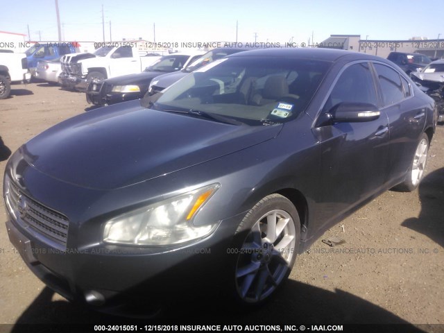 1N4AA51E59C812260 - 2009 NISSAN MAXIMA S/SV GRAY photo 2