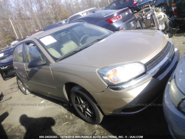 1G1ZT54805F289101 - 2005 CHEVROLET MALIBU LS BEIGE photo 1