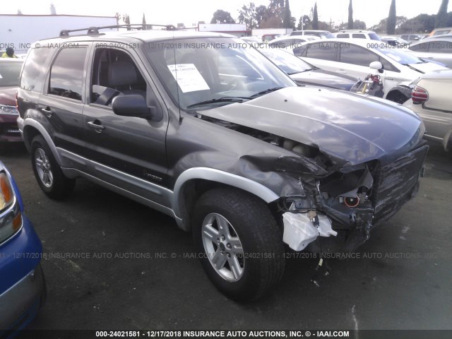 1FMCU95H05KC74214 - 2005 FORD ESCAPE HEV GRAY photo 1