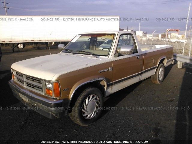 1B7GN14M2HS359496 - 1987 DODGE DAKOTA WHITE photo 2