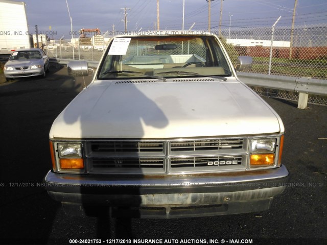 1B7GN14M2HS359496 - 1987 DODGE DAKOTA WHITE photo 6