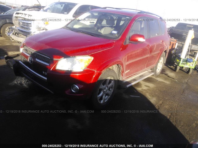 2T3YK4DV0AW004816 - 2010 TOYOTA RAV4 LIMITED RED photo 2