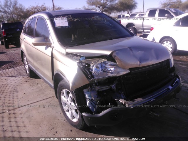 JHLRE38728C051055 - 2008 HONDA CR-V EXL GOLD photo 6