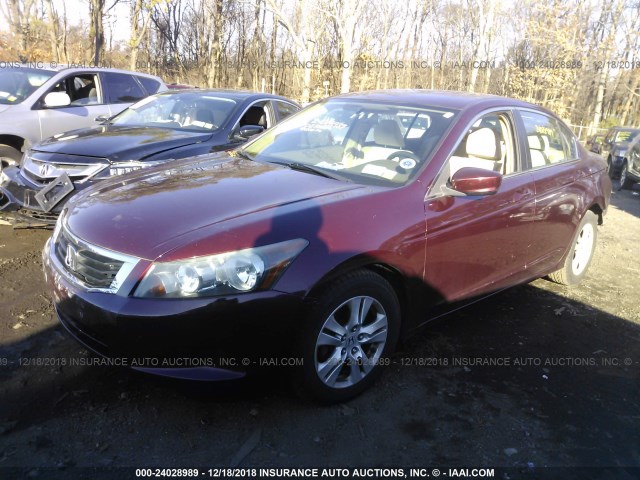 1HGCP26448A082899 - 2008 HONDA ACCORD LXP BURGUNDY photo 2