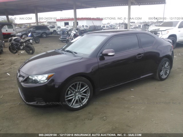 JTKJF5C73C3030985 - 2012 TOYOTA SCION TC 紫色 照片 2