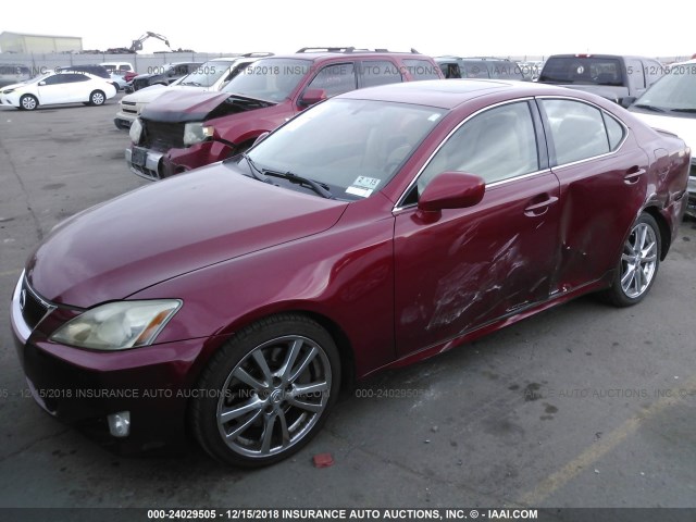 JTHBE262162000857 - 2006 LEXUS IS 350 RED photo 2