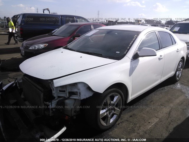 1G1ZC5EB1AF292965 - 2010 CHEVROLET MALIBU 1LT WHITE photo 2