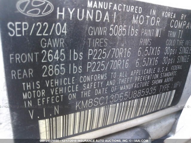 KM8SC13D65U885935 - 2005 HYUNDAI SANTA FE WHITE photo 9