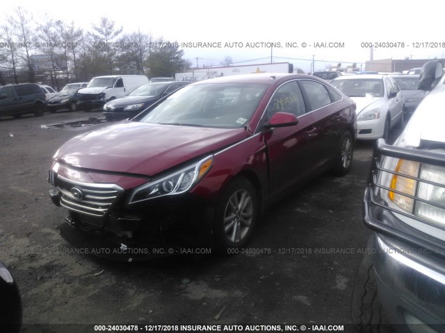 5NPE24AF1FH230653 - 2015 HYUNDAI SONATA SE RED photo 2