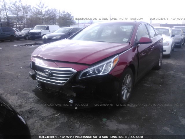 5NPE24AF1FH230653 - 2015 HYUNDAI SONATA SE RED photo 6