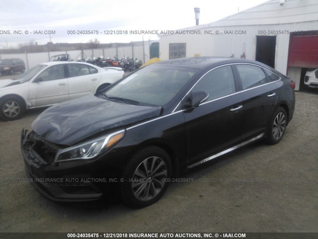 5NPE34AF7GH288104 - 2016 HYUNDAI SONATA SPORT/LIMITED BLACK photo 2