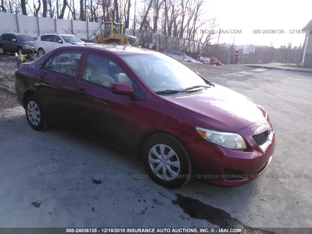 JTDBL40E499025463 - 2009 TOYOTA COROLLA LE/XLE RED photo 1