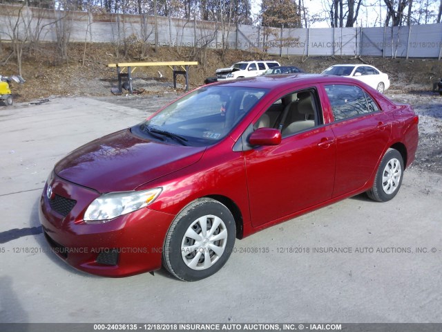 JTDBL40E499025463 - 2009 TOYOTA COROLLA LE/XLE RED photo 2