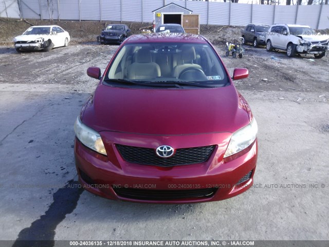 JTDBL40E499025463 - 2009 TOYOTA COROLLA LE/XLE RED photo 6