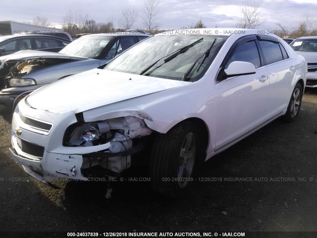 1G1ZC5EUXBF148298 - 2011 CHEVROLET MALIBU 1LT WHITE photo 2