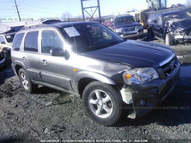 4F2CZ961X5KM03275 - 2005 MAZDA TRIBUTE S GRAY photo 1