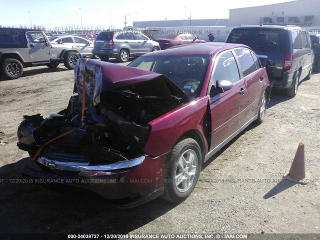 1G1ZT54815F244670 - 2005 CHEVROLET MALIBU LS BURGUNDY photo 2