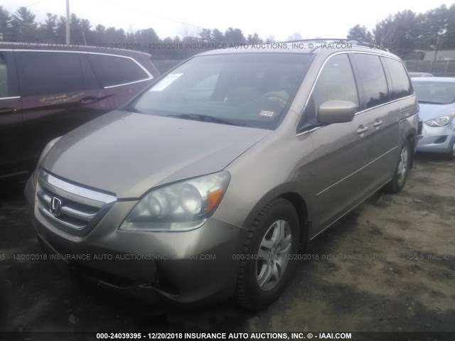 5FNRL38735B094336 - 2005 HONDA ODYSSEY EXL GOLD photo 2