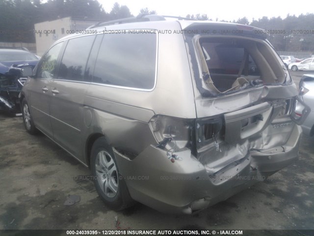 5FNRL38735B094336 - 2005 HONDA ODYSSEY EXL GOLD photo 3