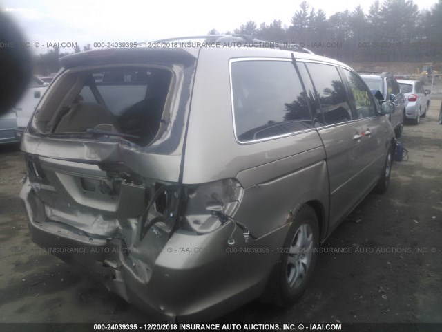 5FNRL38735B094336 - 2005 HONDA ODYSSEY EXL GOLD photo 4