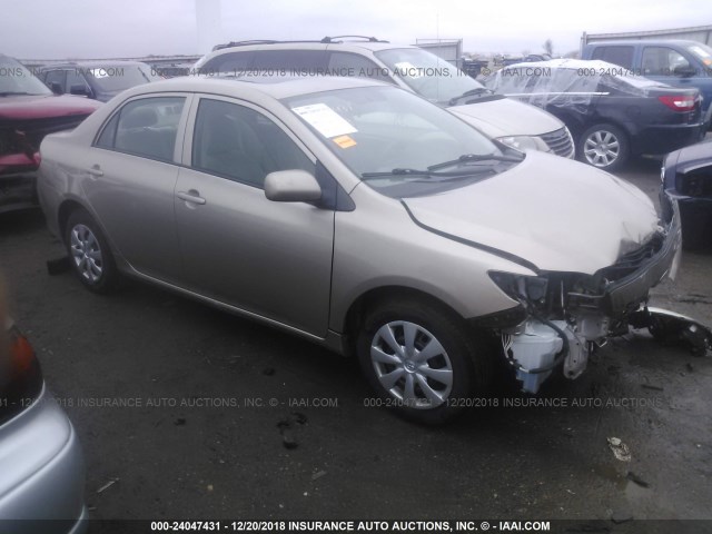 1NXBU4EEXAZ329786 - 2010 TOYOTA COROLLA S/LE/XLE BEIGE photo 1