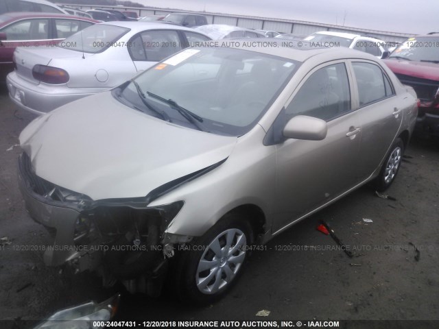 1NXBU4EEXAZ329786 - 2010 TOYOTA COROLLA S/LE/XLE BEIGE photo 2