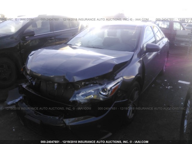 4T1BF1FK7FU075202 - 2015 TOYOTA CAMRY LE/XLE/SE/XSE GRAY photo 2