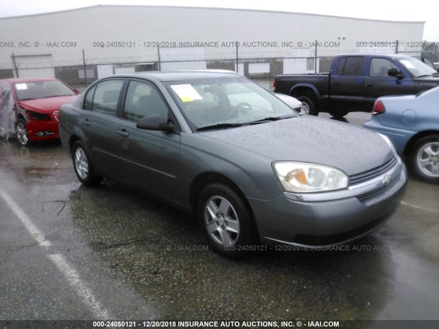 1G1ZT52854F219384 - 2004 CHEVROLET MALIBU LS ნაცრისფერი ფოტო 1