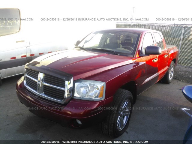 1D7HE48P47S173215 - 2007 DODGE DAKOTA QUAD SLT RED photo 2