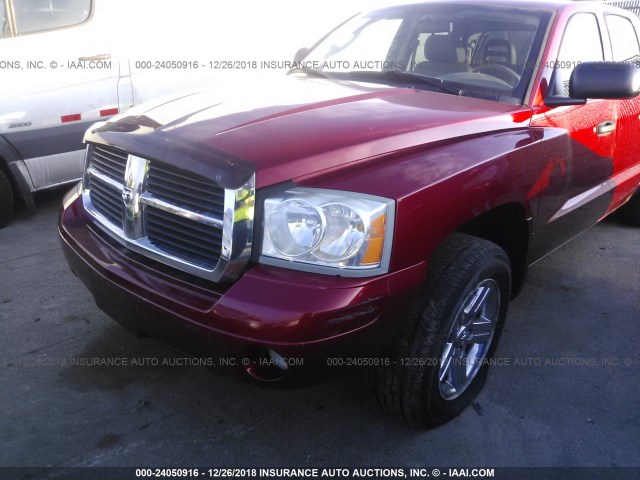 1D7HE48P47S173215 - 2007 DODGE DAKOTA QUAD SLT RED photo 6