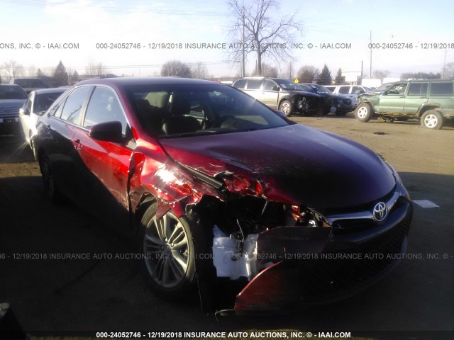 4T1BF1FK5FU929331 - 2015 TOYOTA CAMRY LE/XLE/SE/XSE RED photo 1