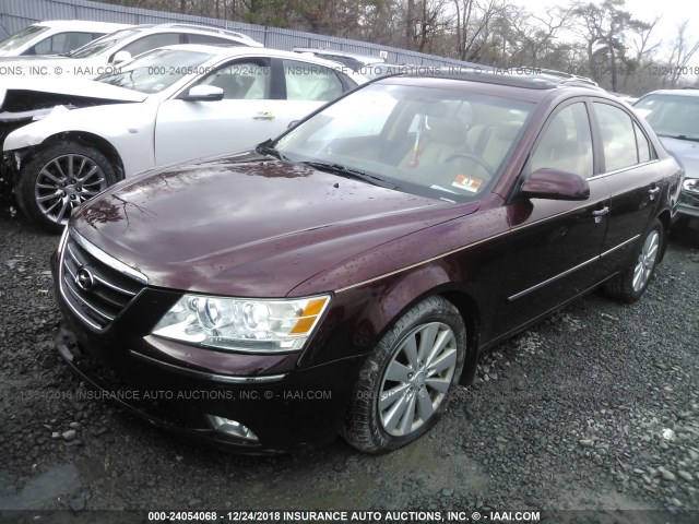 5NPEU46F79H497724 - 2009 HYUNDAI SONATA SE/LIMITED RED photo 2