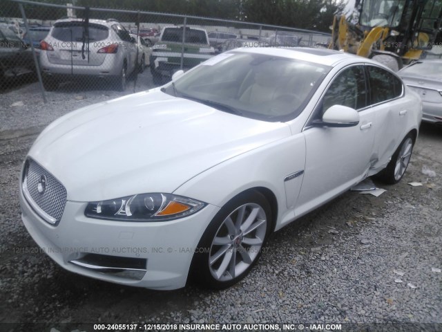 SAJWA0F7XF8U67501 - 2015 JAGUAR XF 3.0 SPORT WHITE photo 2