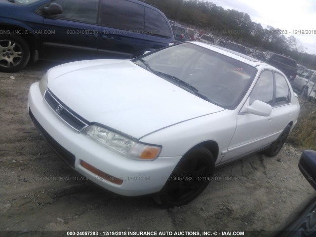 1HGCD5653TA217558 - 1996 HONDA ACCORD EX/EX-R WHITE photo 2