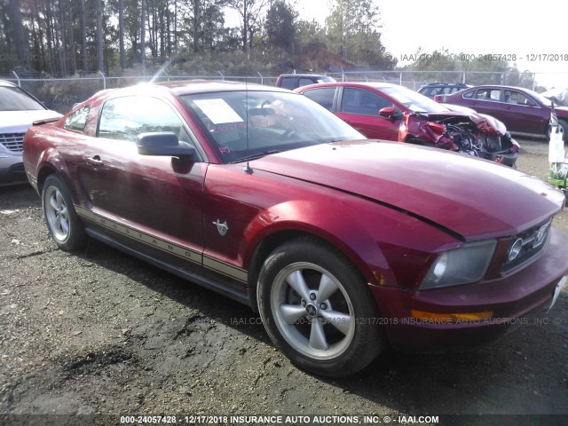 1ZVHT80N695142502 - 2009 FORD MUSTANG RED photo 1