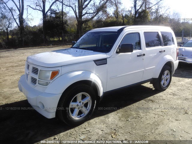 1D4PT5GK0AW104970 - 2010 DODGE NITRO SXT WHITE photo 2