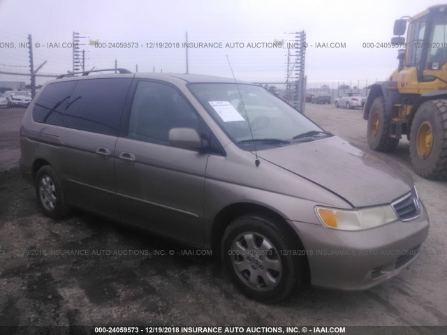 5FNRL18043B005572 - 2003 HONDA ODYSSEY EXL BEIGE photo 1