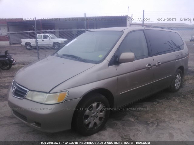 5FNRL18043B005572 - 2003 HONDA ODYSSEY EXL BEIGE photo 2